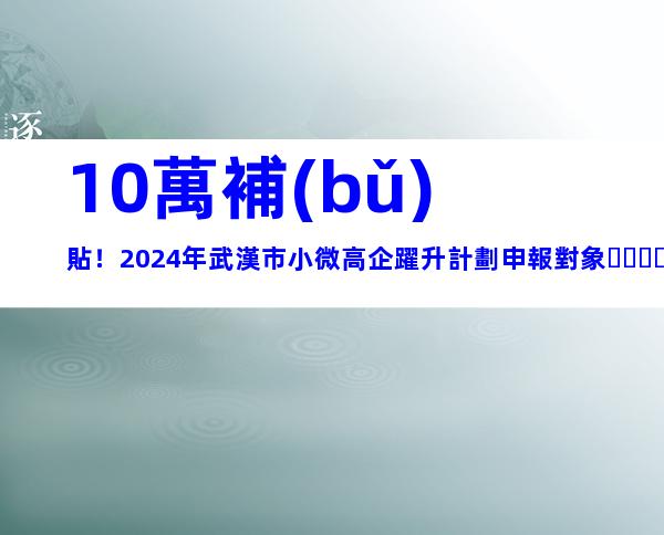 10萬補(bǔ)貼！2024年武漢市小微高企躍升計劃申報對象、程序